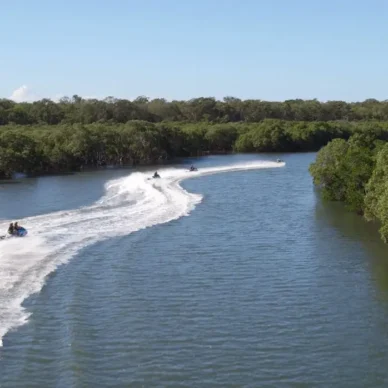Jet Skiing Around the Mangrove