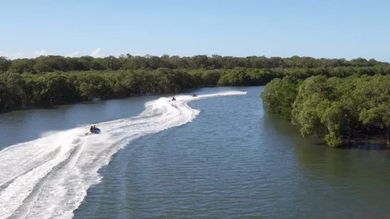 Jet Skiing Around the Mangrove