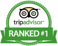 Tripadvisor Ranked #1