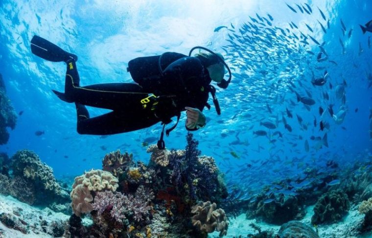 A Man Scuba Diving in Main Beach, QLD